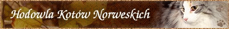 Kamik - hodowla Kot�w Norweskich Le�nych